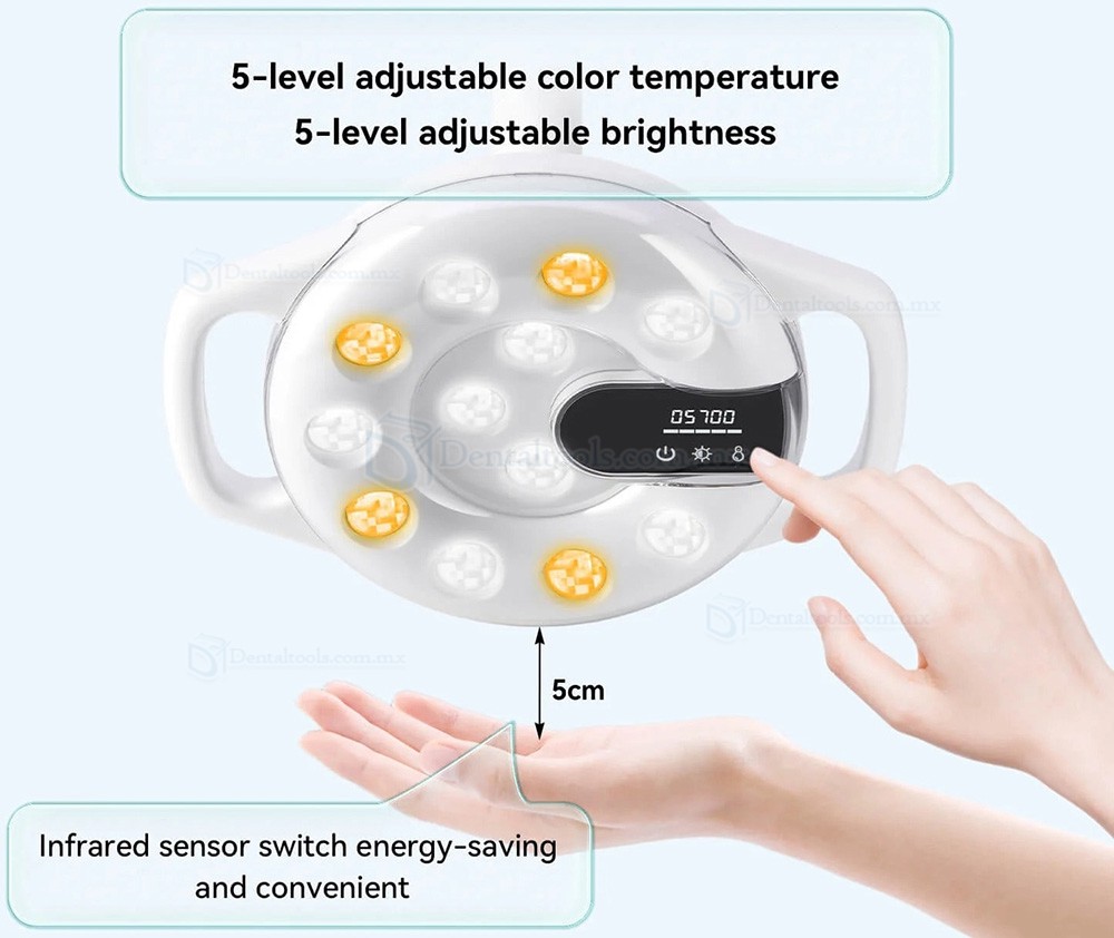 Bonin T12C L&aacute;mpara LED para sill&oacute;n dental con 12 LEDs